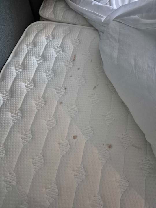 Zimmer Vouliagmeni Athenian Riviera Villa