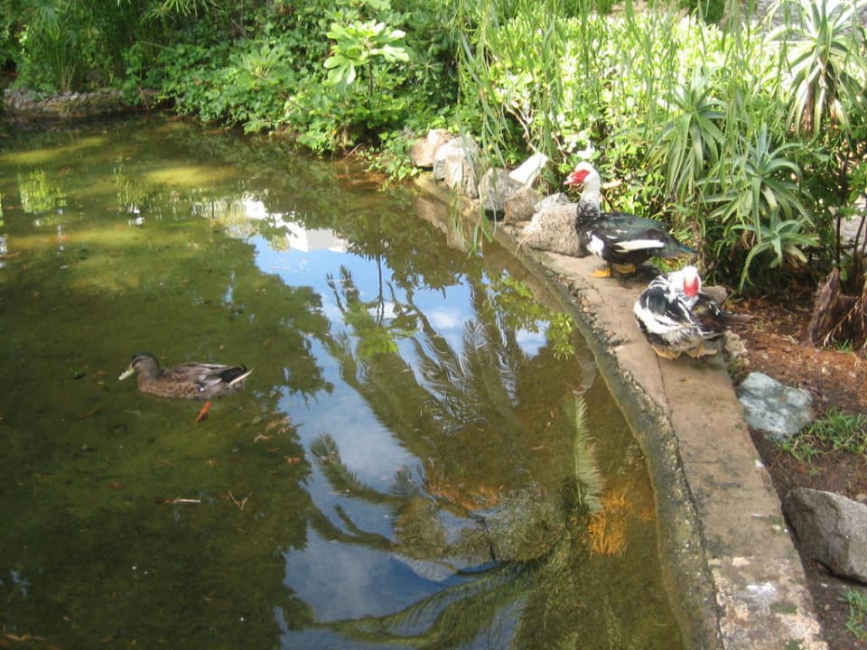 Teich Aldiana Club Rocca Nettuno Calabria