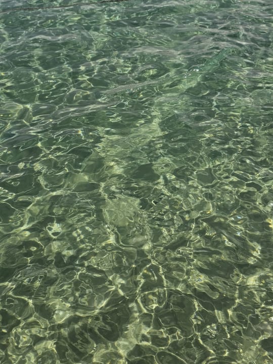 Strand Beach Albatros Resort