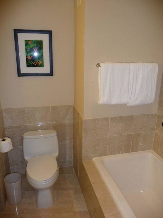 WC Hotel JW Marriott Grand Rapids