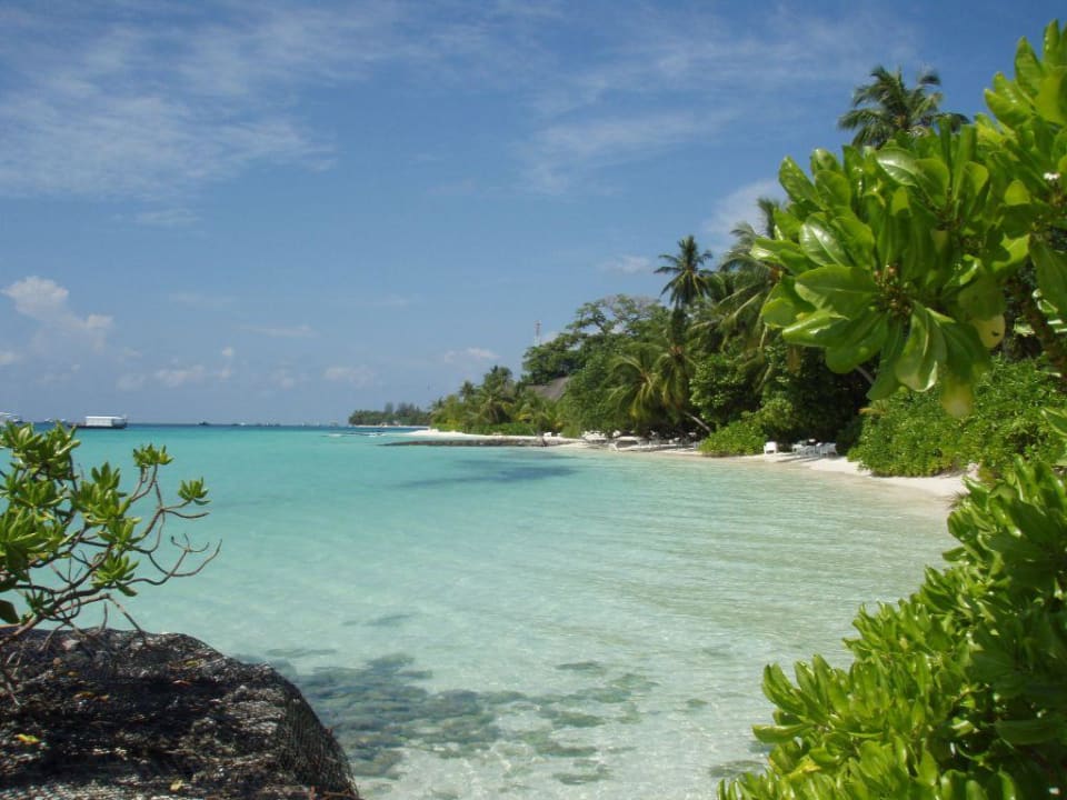 Strand bei Coconut Village Kuramathi Maldives