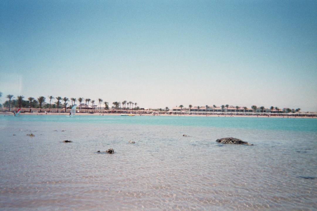 Blick Richtung Liegeflächen Pickalbatros Alf Leila Wa Leila Resort - Neverland Hurghada