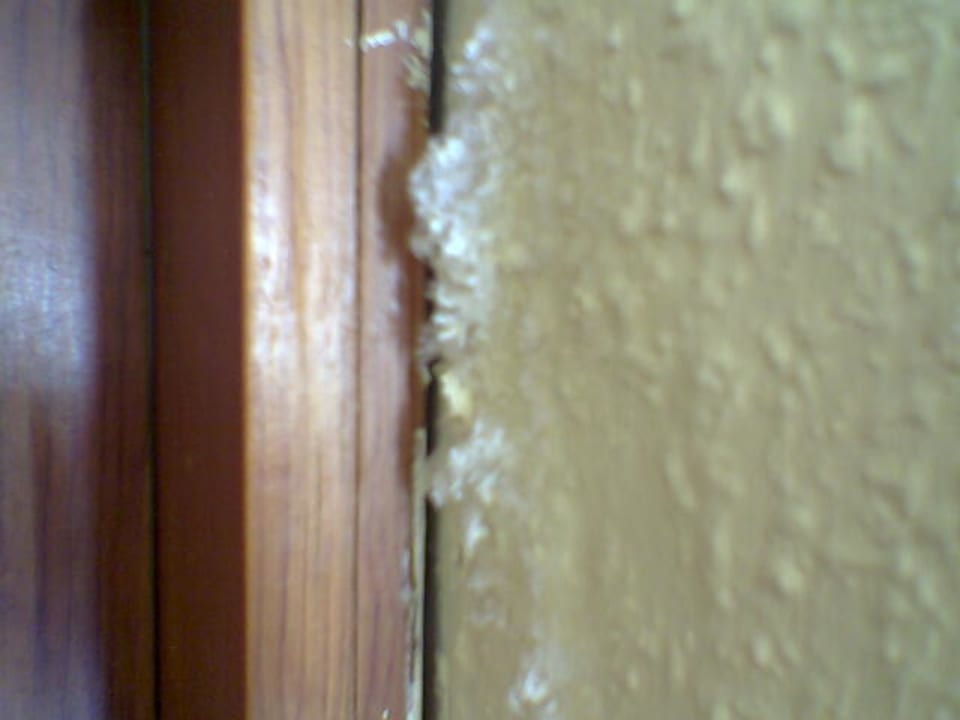 Schimmelsporen "stärken" das Immunsystem... HOVIMA La Pinta Beachfront Family Hotel