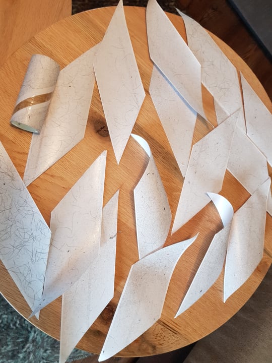 Zimmer Center Parcs Park Allgäu