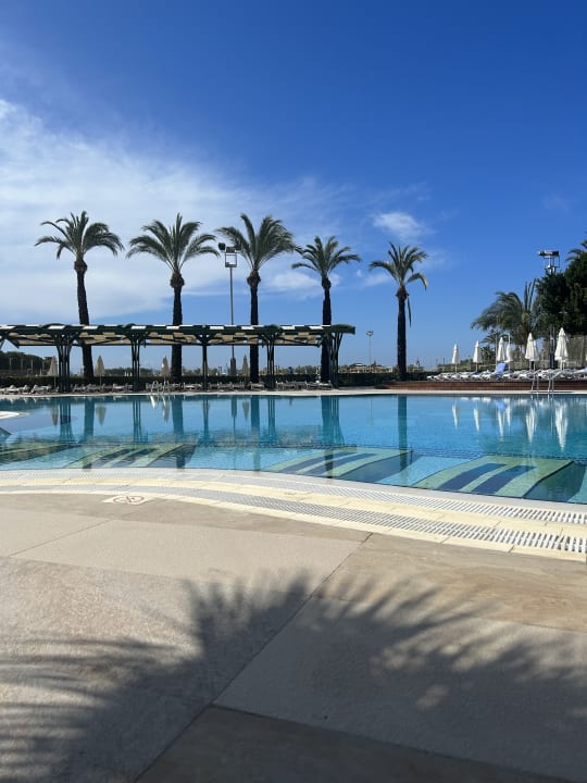 Pool Blue Waters Club