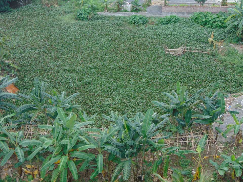 Gartenanlage Le Clos Du Fil