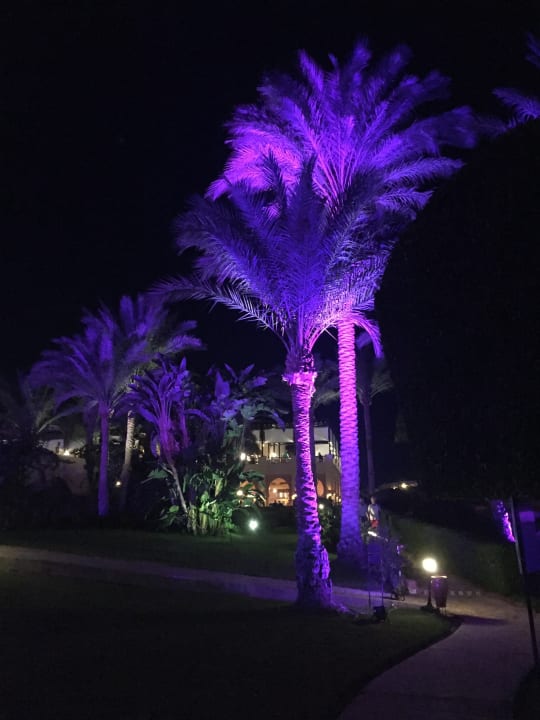 Strand Steigenberger Coraya Beach - Adults only