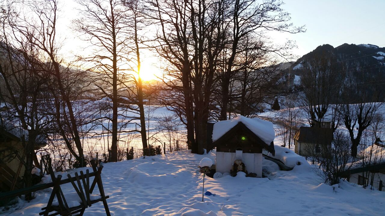 Gartenanlage Hotel-Pension Ötzmooshof
