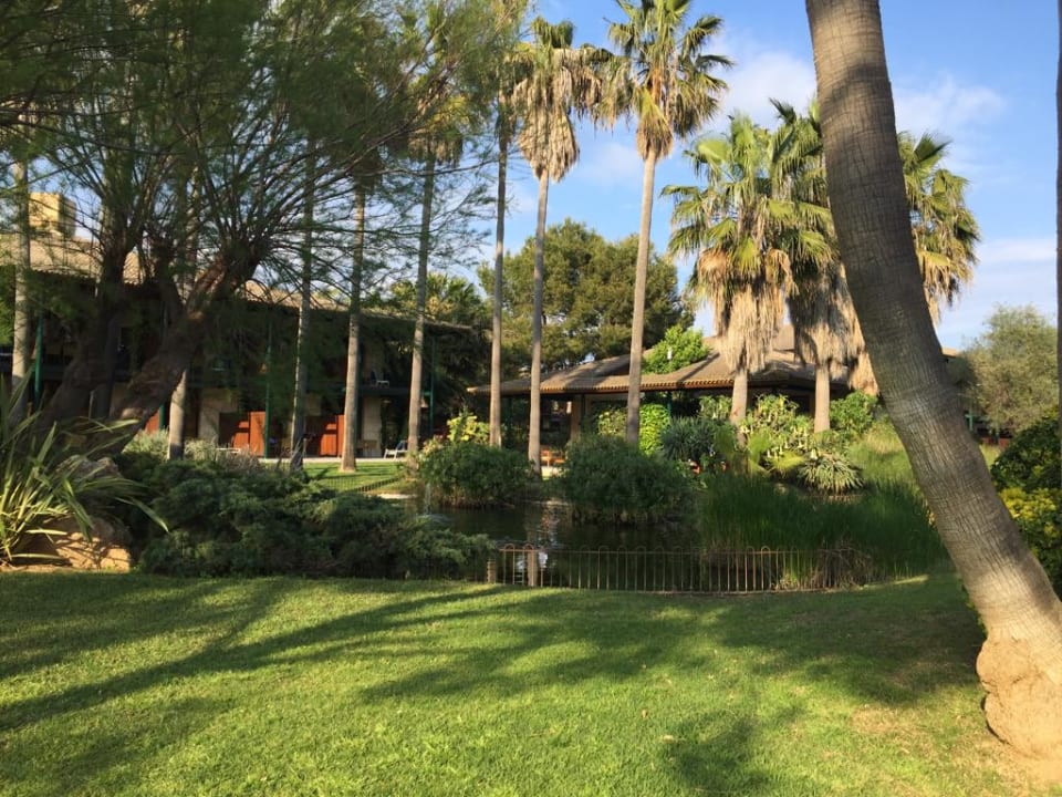 Gartenanlage PortBlue Club Pollentia Resort & Spa