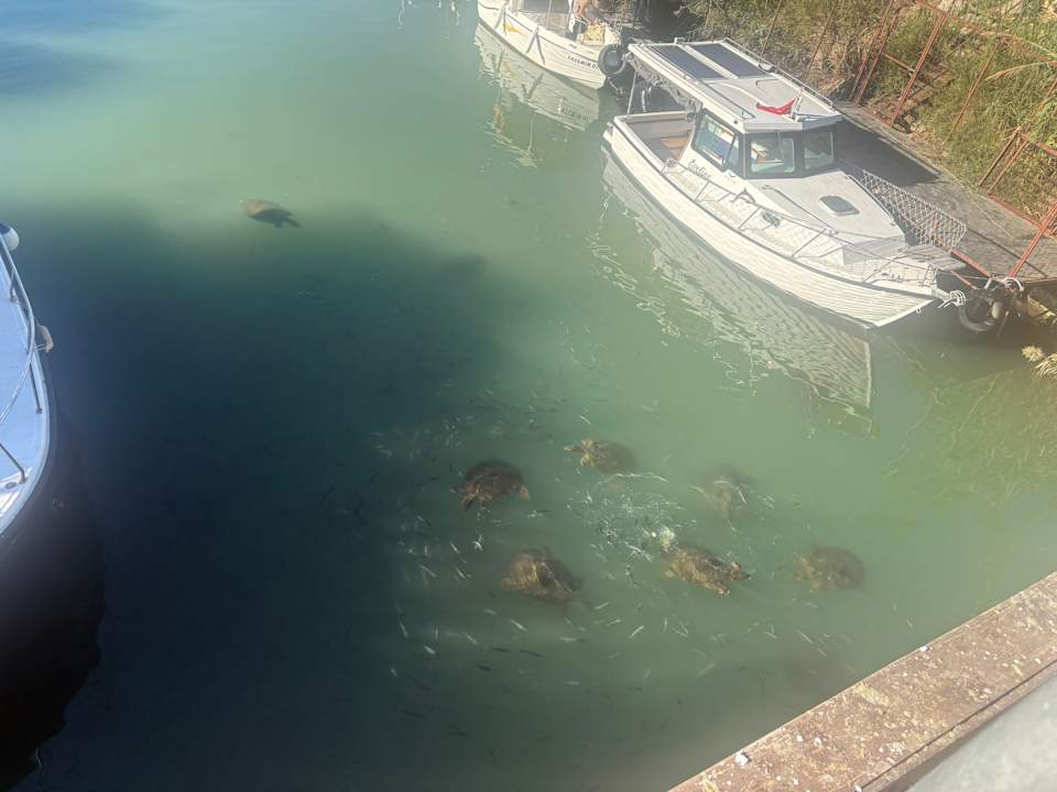 Strand Grand Seker Hotel