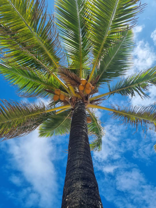 Strand Friday Attitude