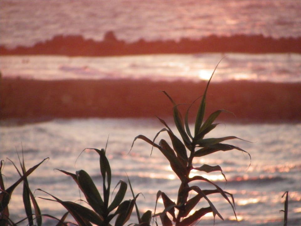 Le coucher de soleil Hotel Themis Beach