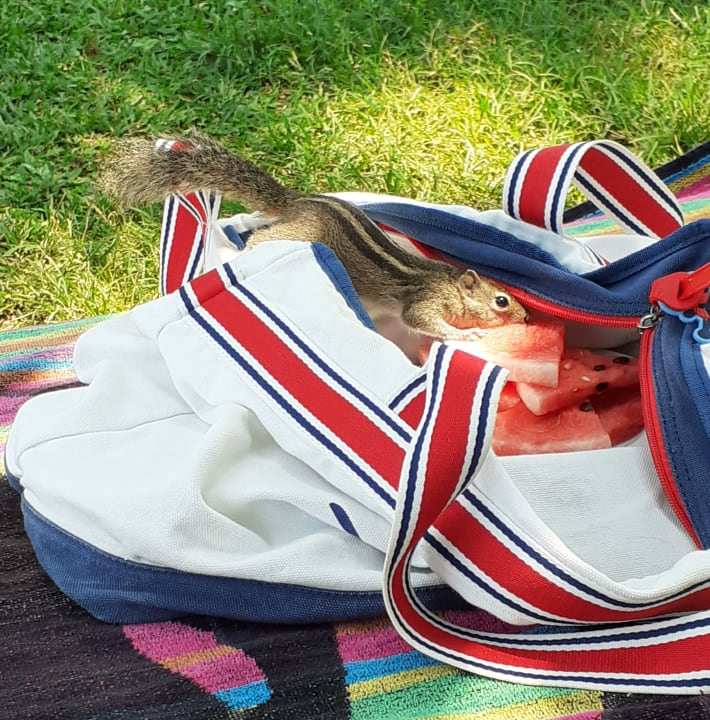 Sonstiges Mermaid Hotel & Club