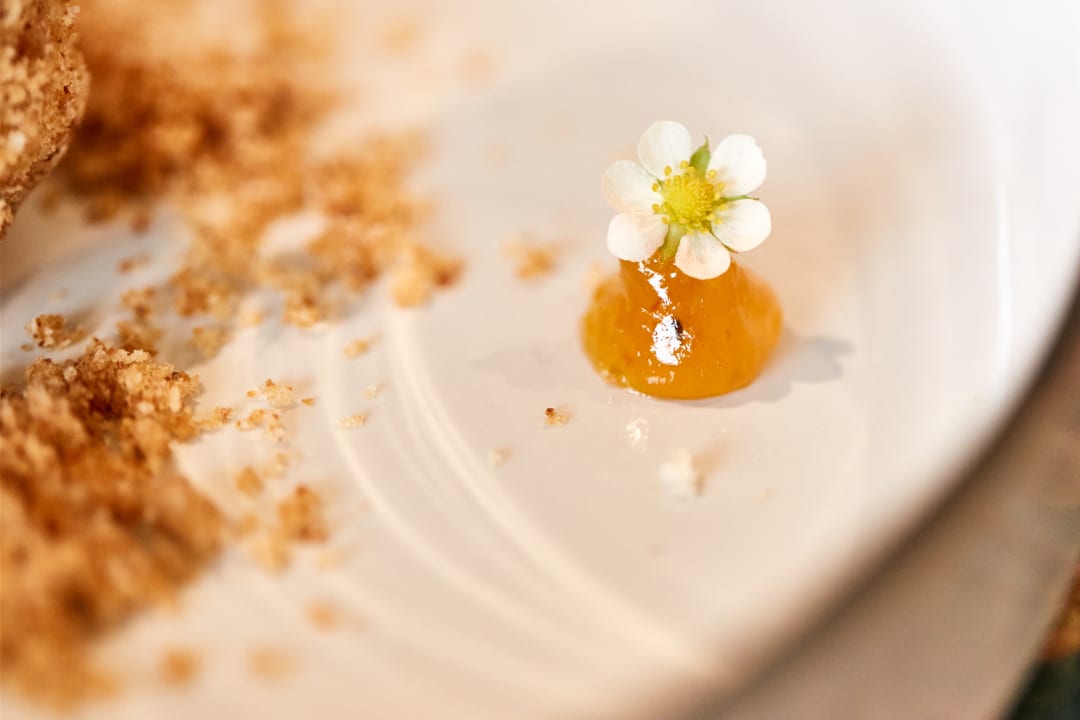 Gastro Hotel Jörglerhof