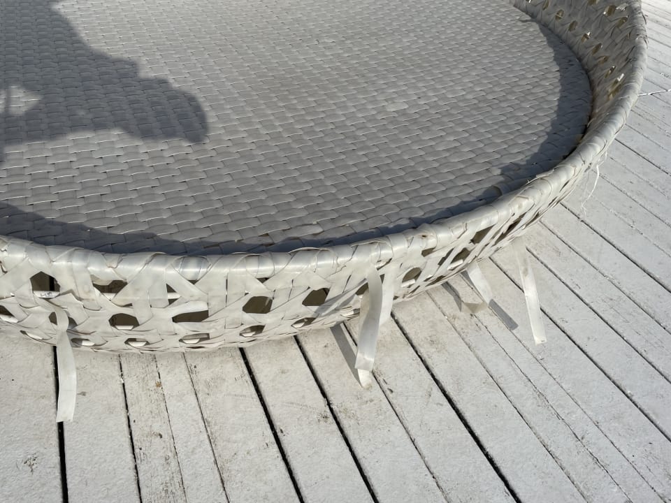 Gastro Balmy Foresta