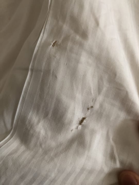 Zimmer Dorint Herrenkrug Parkhotel Magdeburg