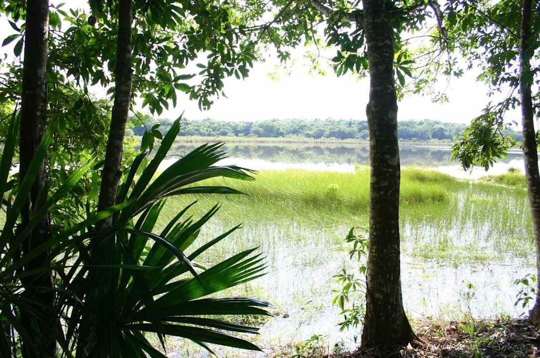 Ausblick Villa Maya Tikal