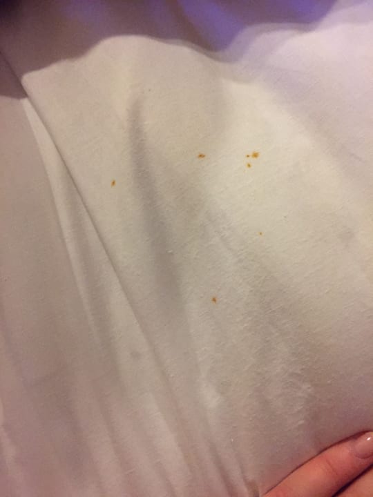 Zimmer Hotel Bel Azur Thalasso & Bungalows