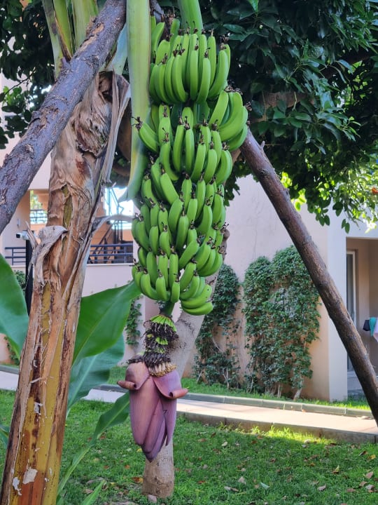 Sonstiges Labranda Alantur Resort