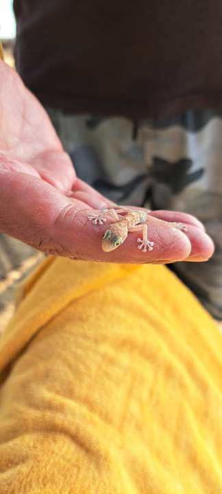 Sonstiges Lemon & Soul Makadi Garden