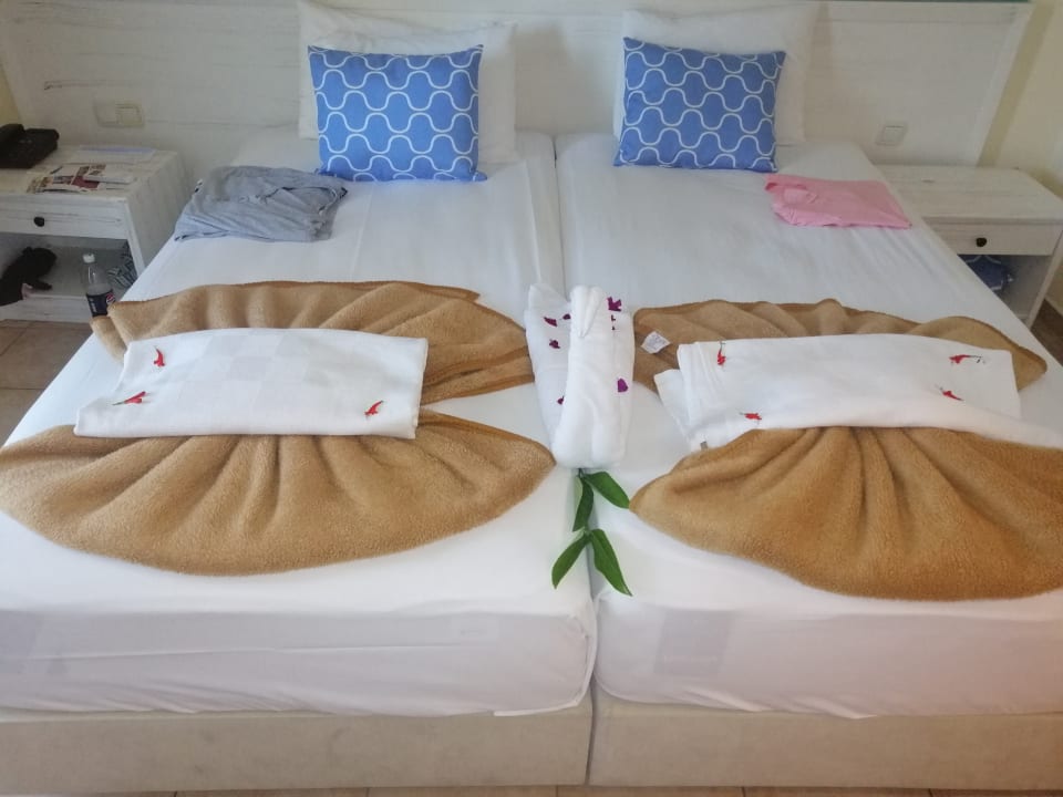 Zimmer Asteria Family Resort Side
