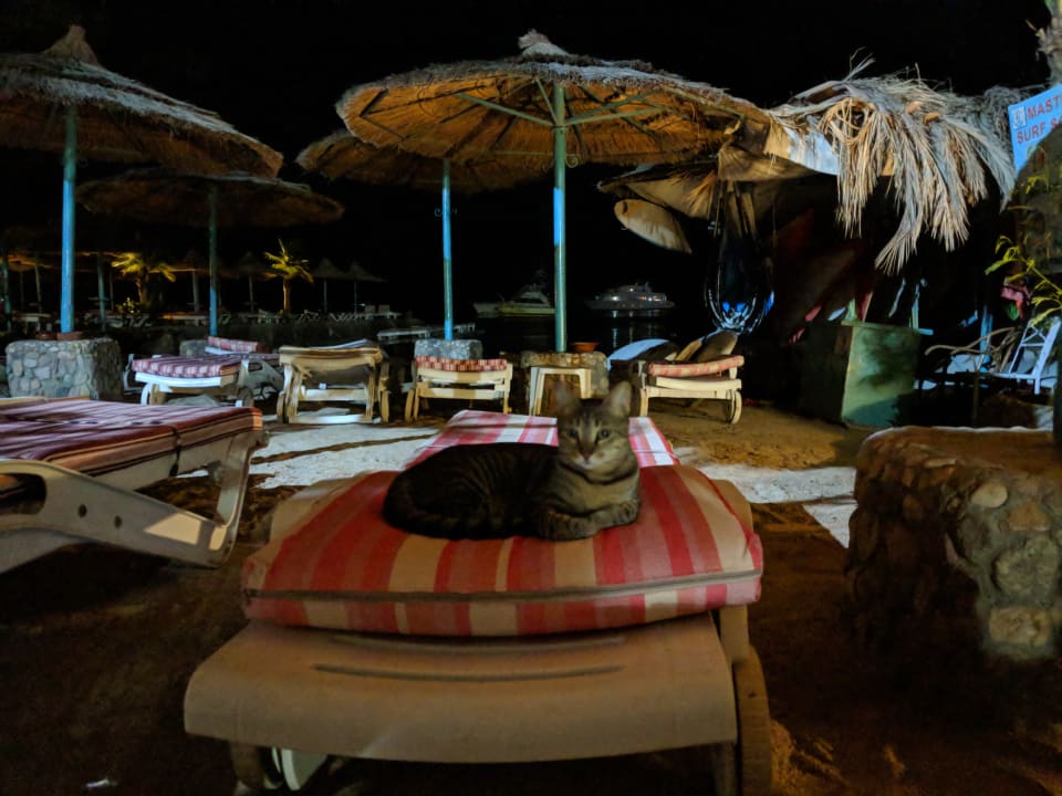 Ausblick Bella Vista Resort Hurghada