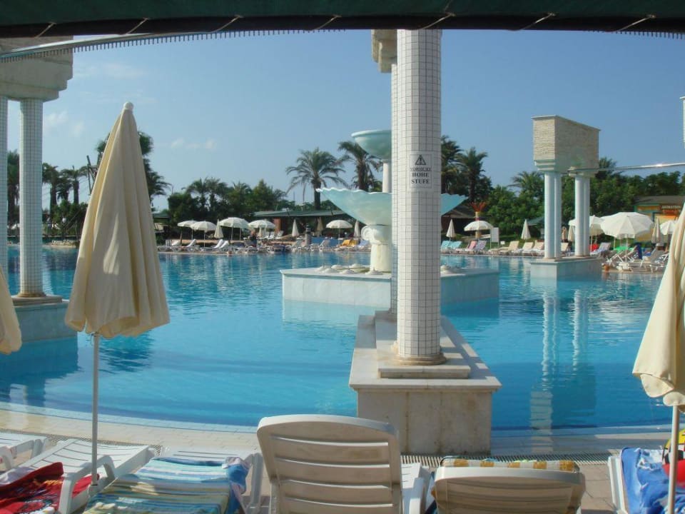 Nasz basenik 57 AQI Pegasos World