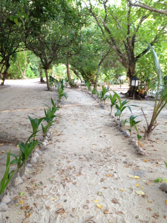 Auf der Nordseite Kuredu Island Resort & Spa