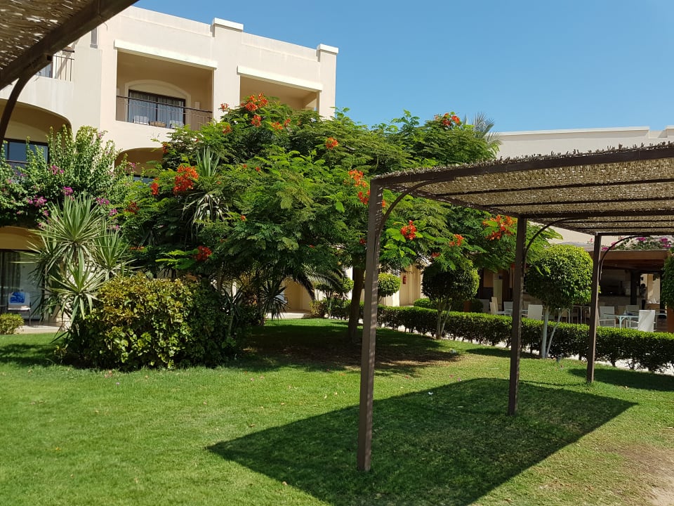 Gartenanlage JAZ Aquamarine Resort