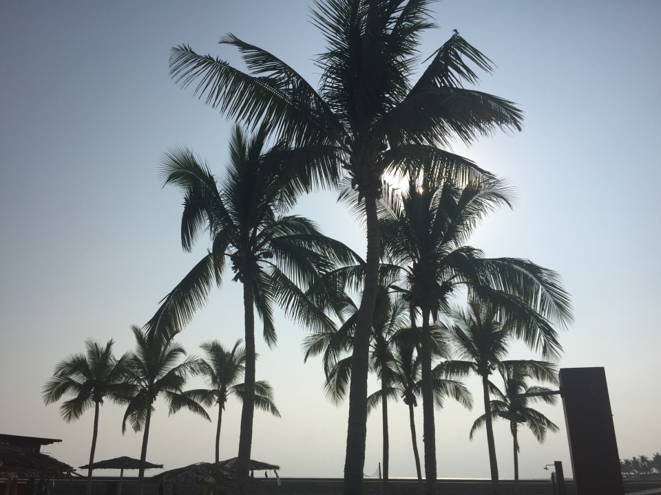 Ausblick Salalah Rotana Resort