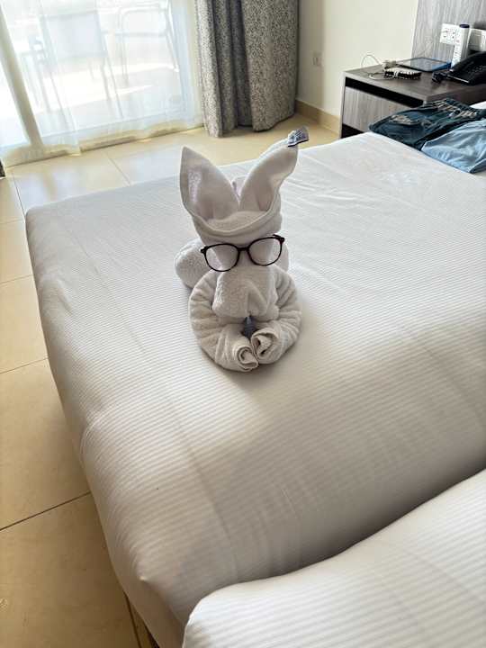 Zimmer Albatros Makadi Resort