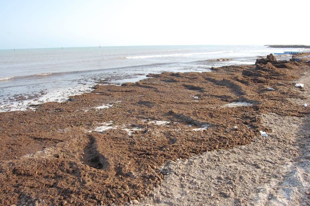 Piękno plaży1 Hotel Bravo Djerba