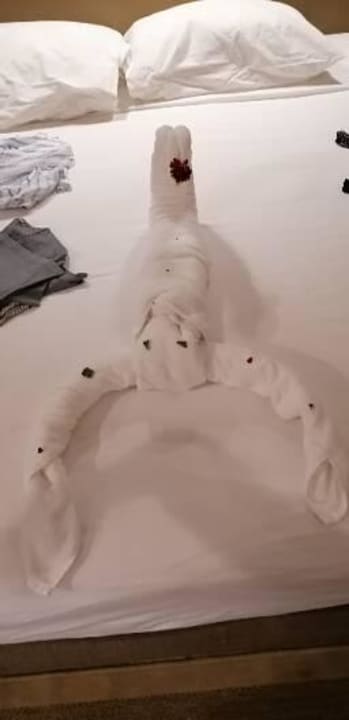 Zimmer Jaz Makadi Oasis Resort