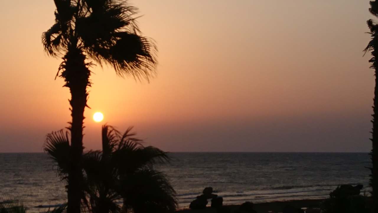 Ausblick Pickalbatros Citadel Resort