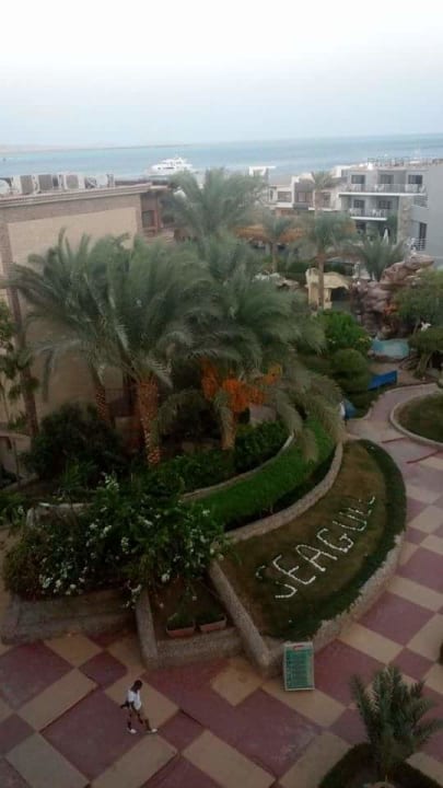 Gartenanlage Seagull Beach Resort