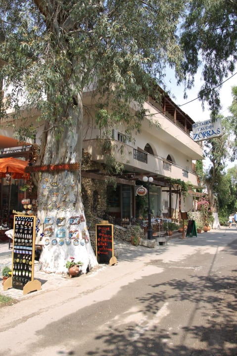 Hotel Zorbas Zorbas Hotel Studios & Apartments