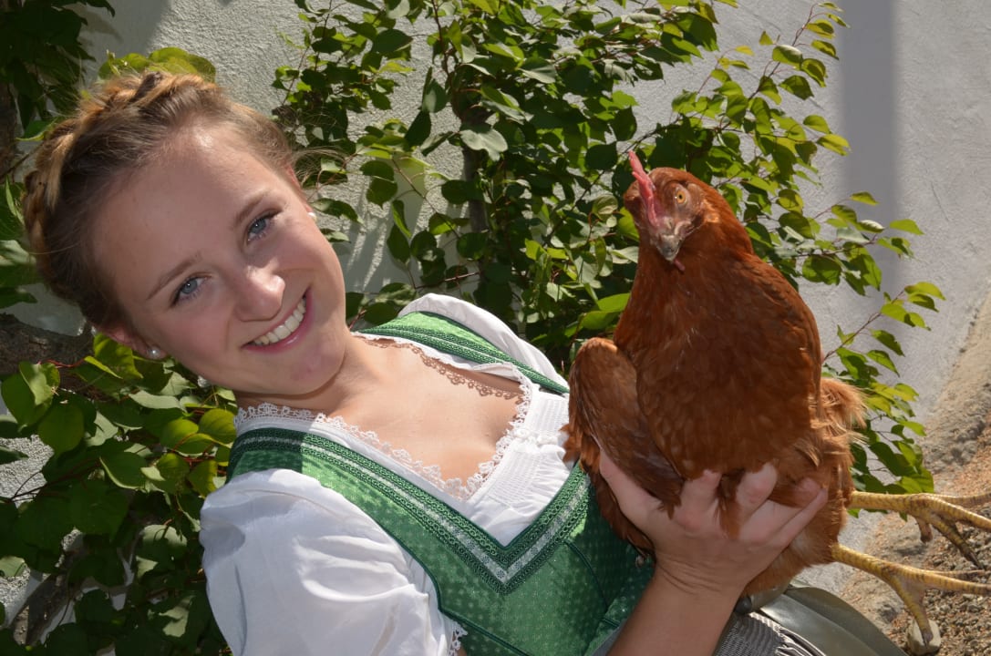 Sonstiges Weliserhof - holidays in the heart of nature