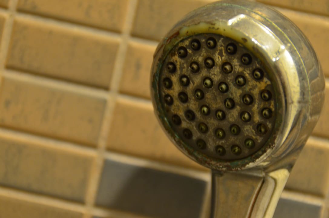 Duschkopf Bitez Garden Life