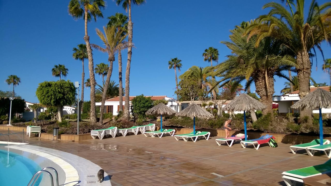 Pool Bungalows Las Vegas Golf