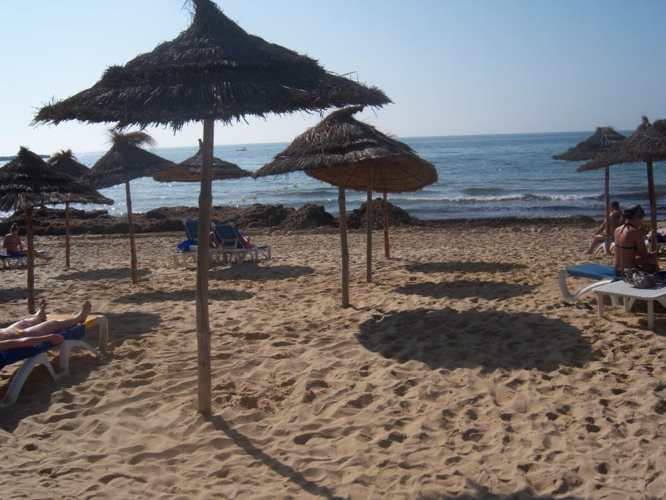 Im Hintergrund leider Algen Medina Solaria & Thalasso