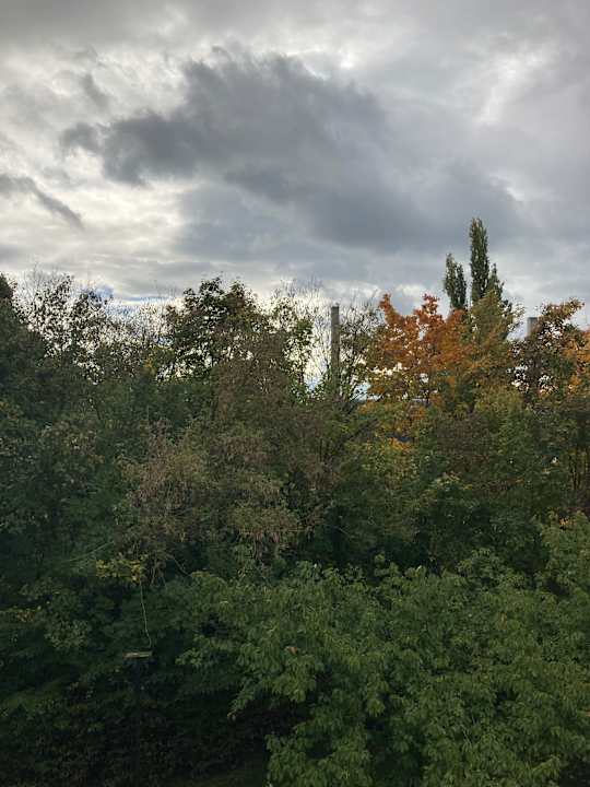 Ausblick Best Western Hotel Windorf