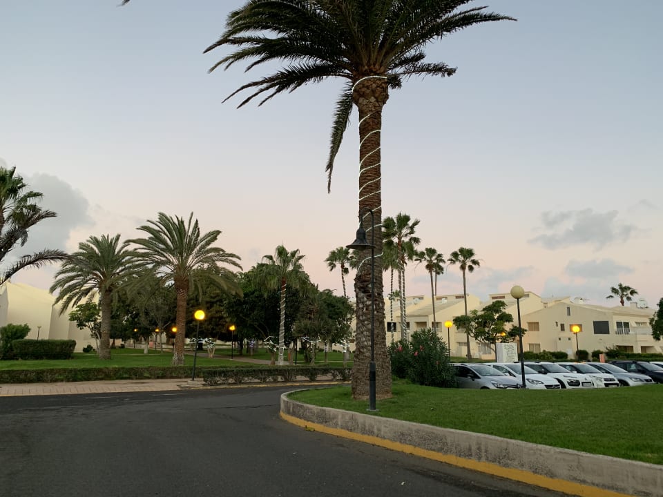 Garten Hotel Riu Oliva Beach - Hotel