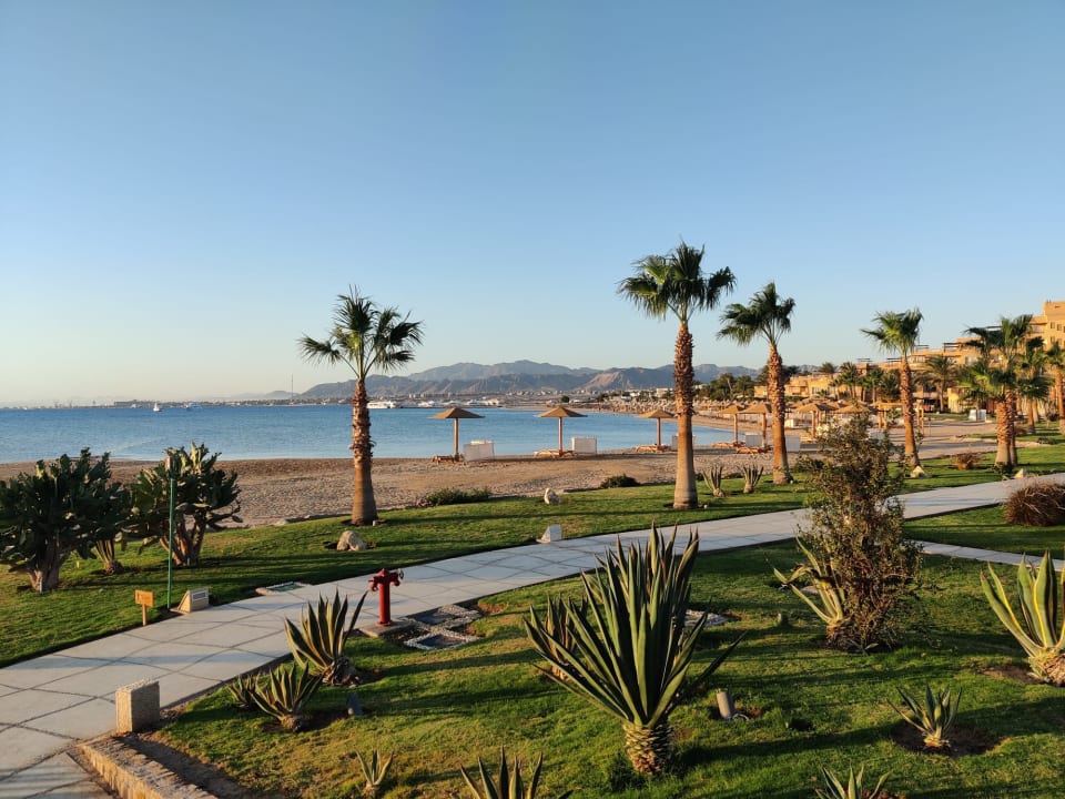 Gartenanlage Shams Prestige Abu Soma-Adults Only