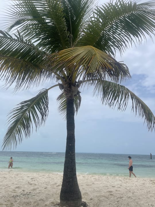 Strand Hotel Riu Caribe