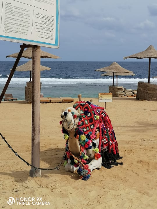 Strand Three Corners Sea Beach Resort