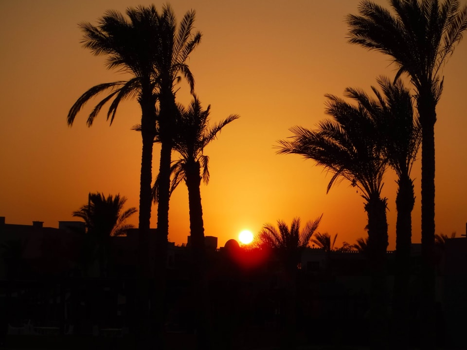 Sonnenaufgang Pickalbatros Sands Hotel - Port Ghalib