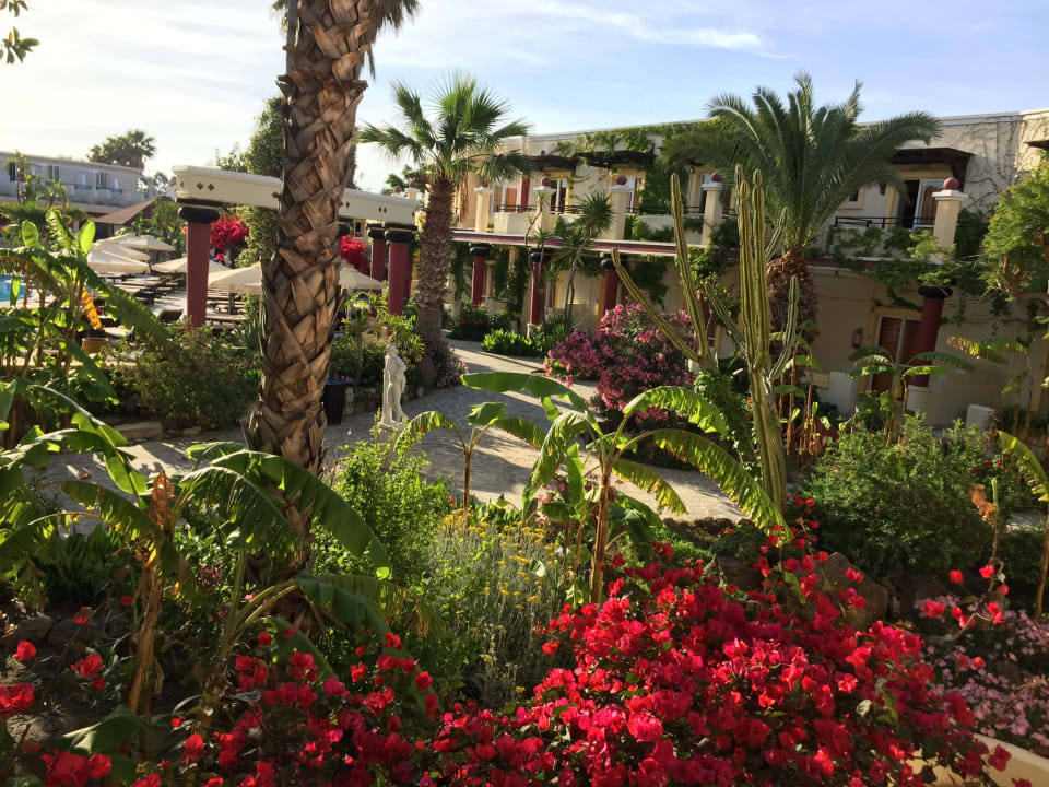 Gartenanlage Apollon Hotel