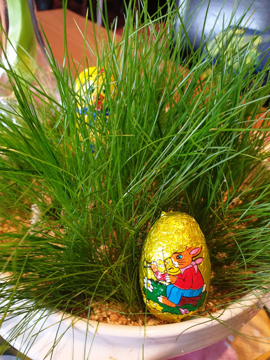 Sonstiges AHORN Hotel Am Fichtelberg