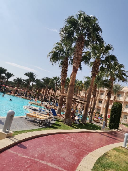 Pool Pickalbatros Palace Resort