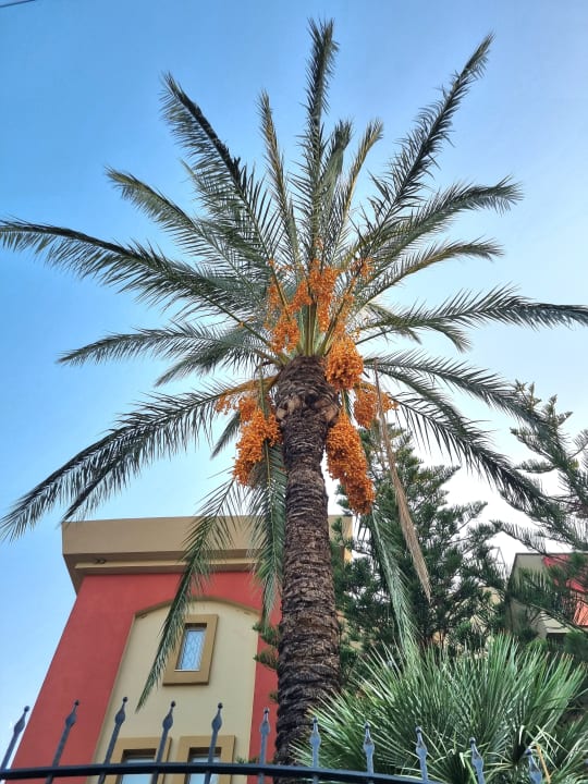 Gartenanlage Hotel Orfeus Park